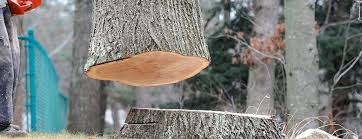 Best Tree Trimming and Pruning  in Auburn Hills, MI